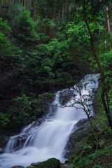 田代の本滝(新城市)