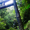 鳥居の向こうは喜如嘉の七滝(沖縄県)