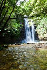 ター滝