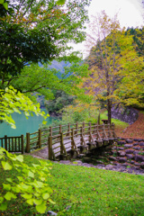 紅葉かと思いきや