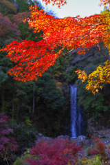 紅葉と滝