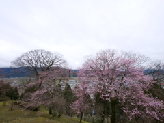 越前大野城　その18