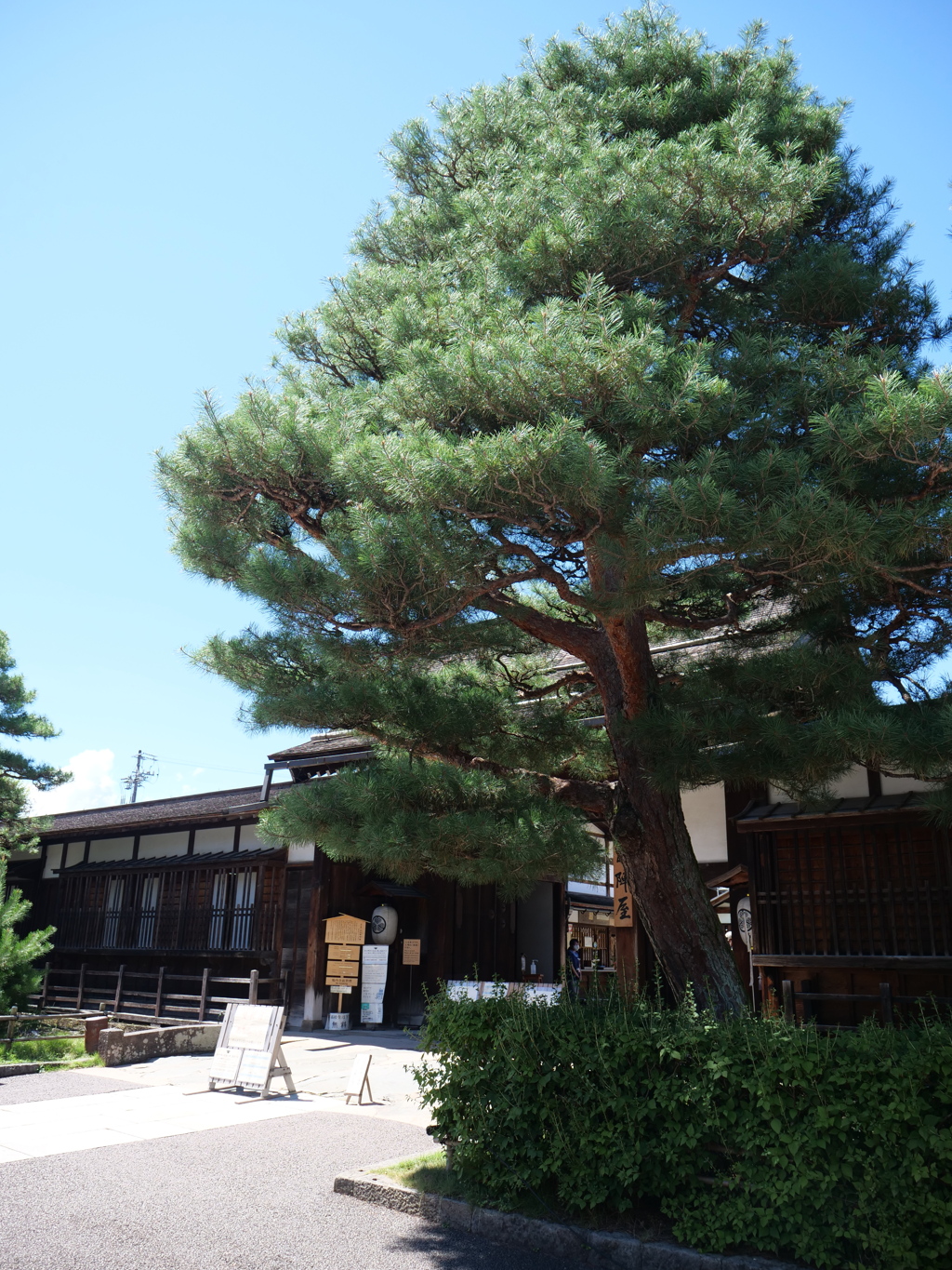 飛騨高山　その26