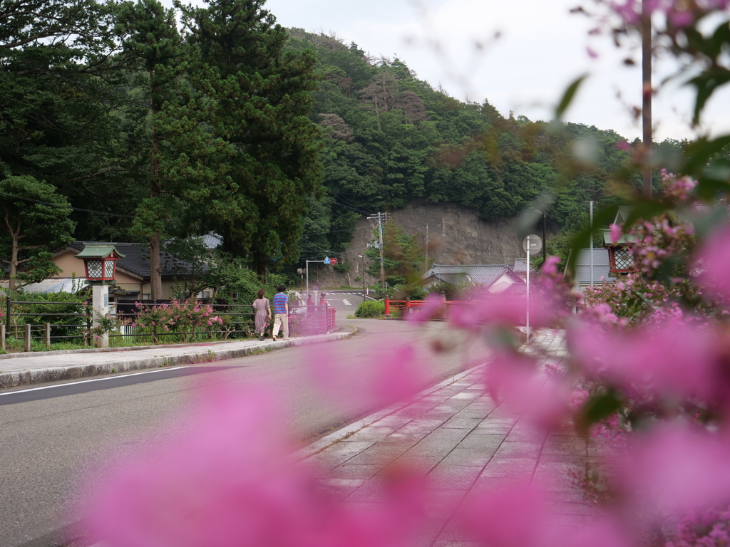 新潟・弥彦　その31