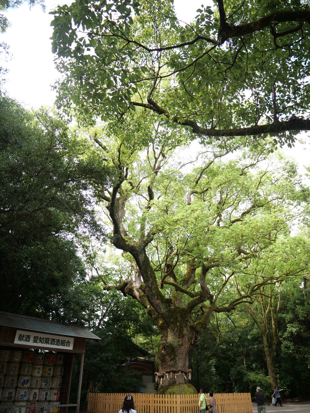 名古屋・熱田神宮　その3