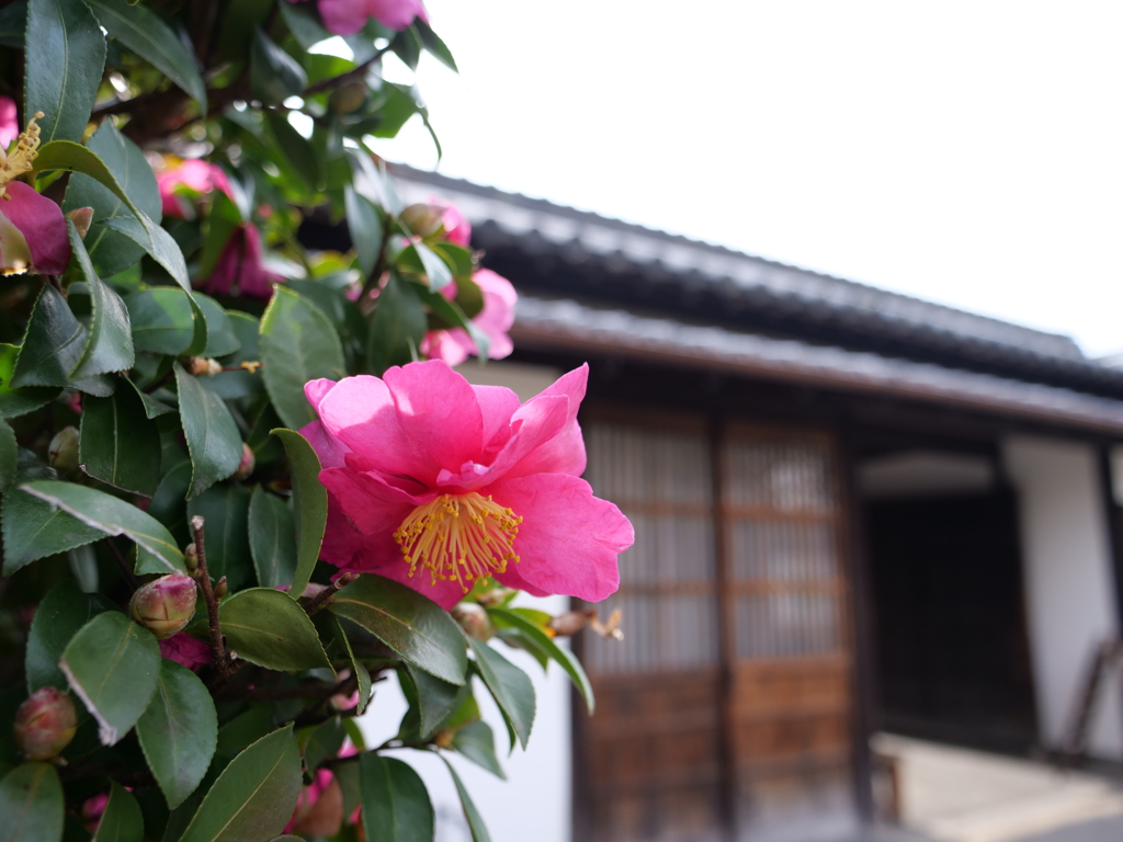 倉敷　その4