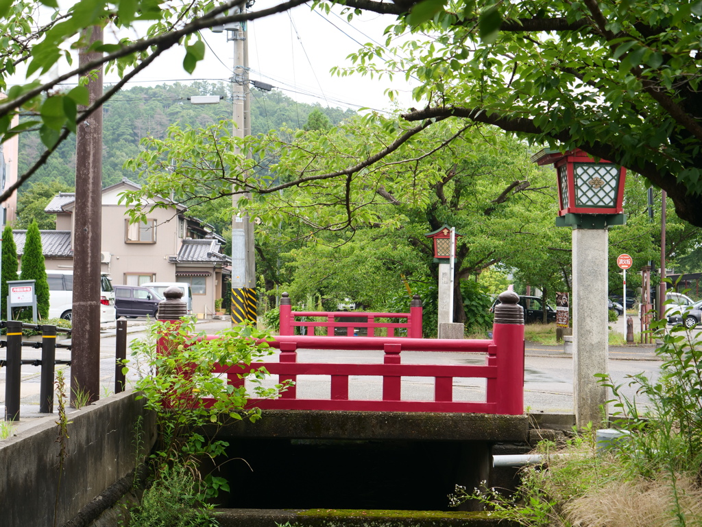 新潟・弥彦　その2