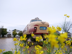 土居原ボンネット広場　その2