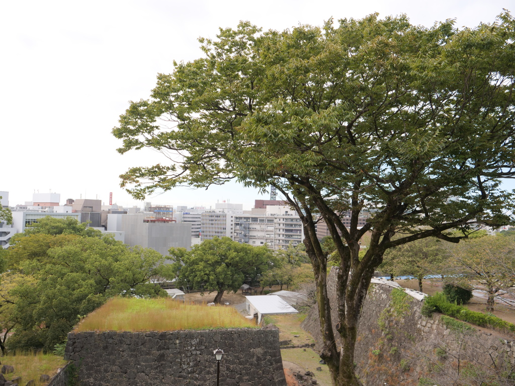 熊本城　その18