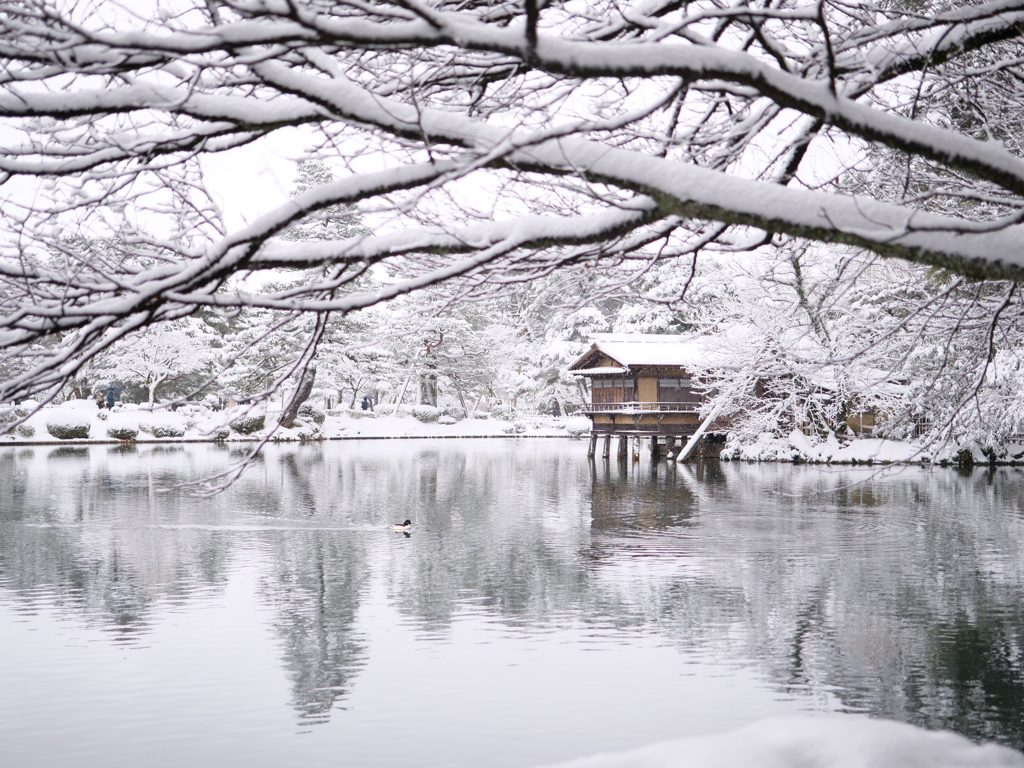 兼六園　その49