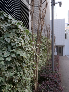 秋葉原　その15