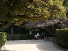 後楽園・岡山城　その4