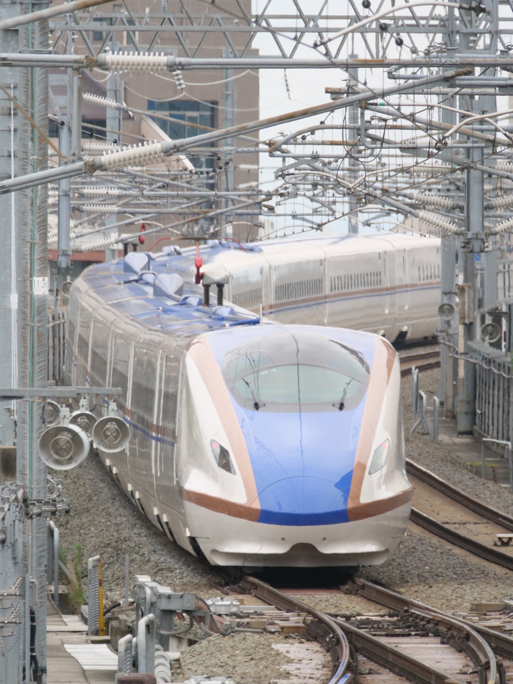 E7系　その54