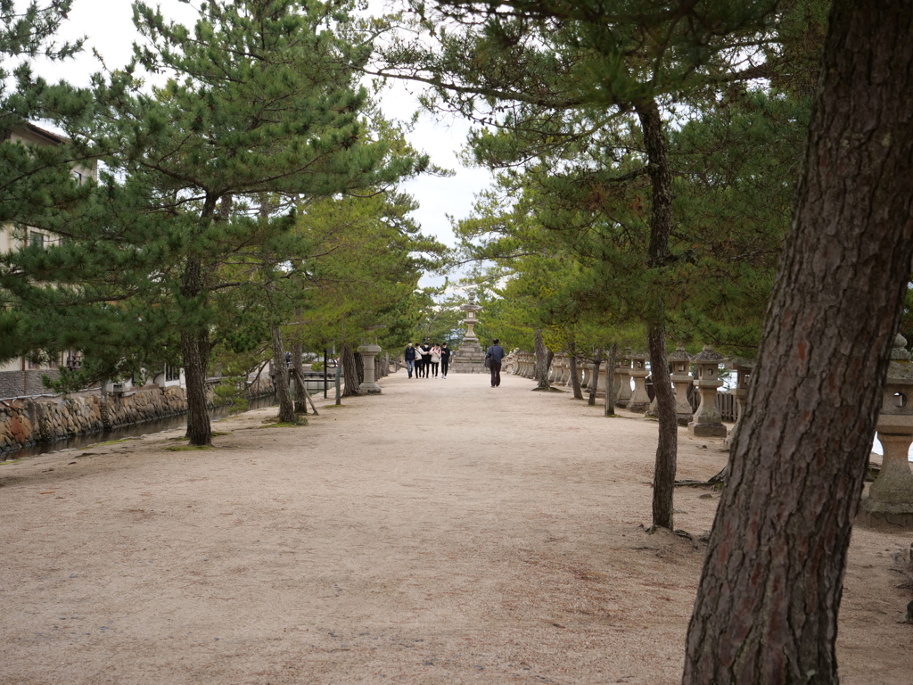 宮島　その34
