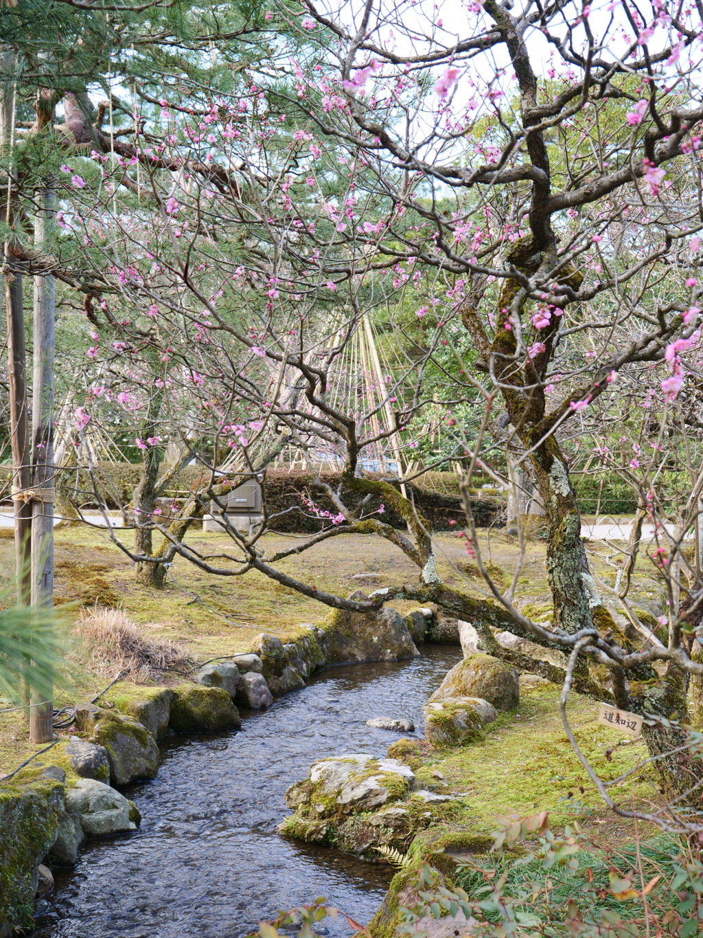 兼六園　その89