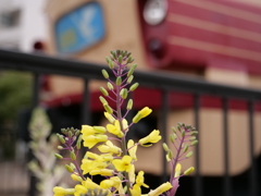 土居原ボンネット広場　その10