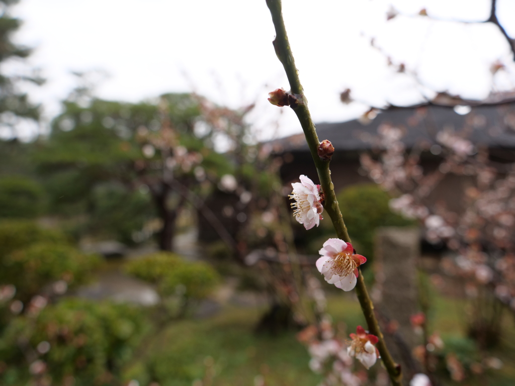 広島　その39