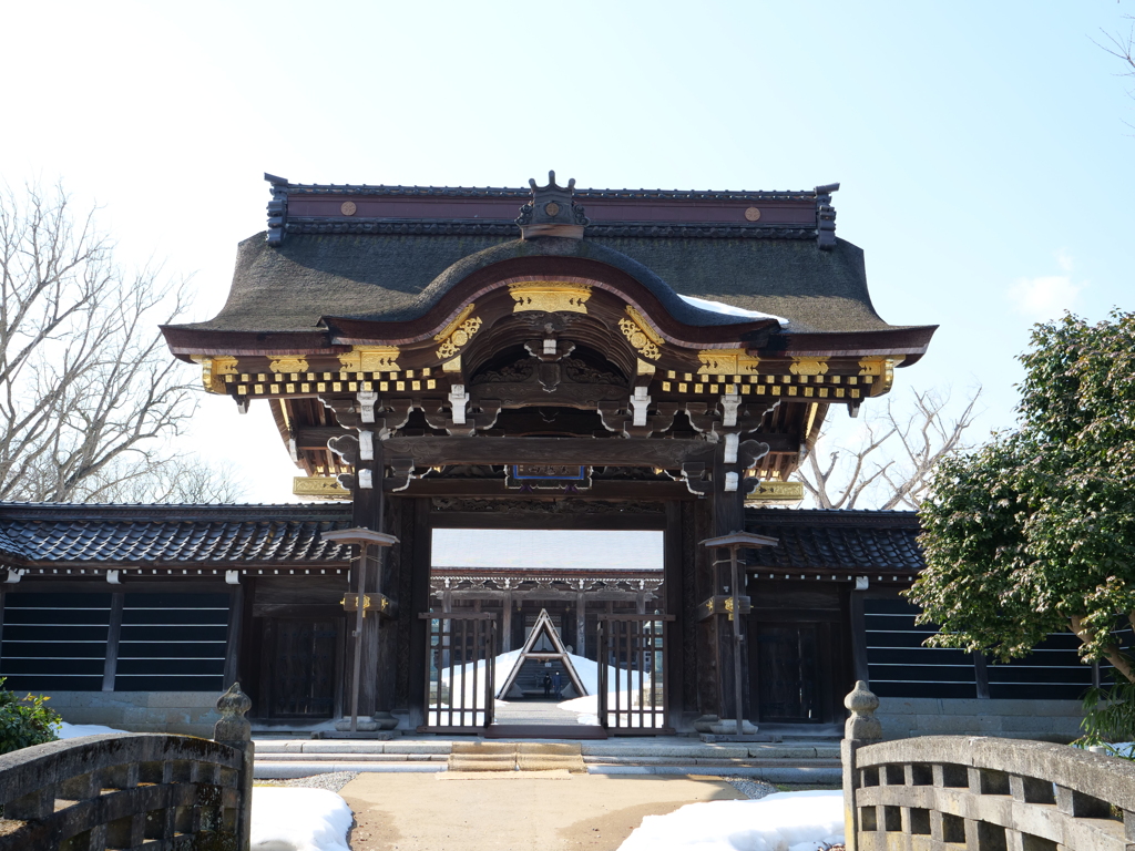 伏木　その10