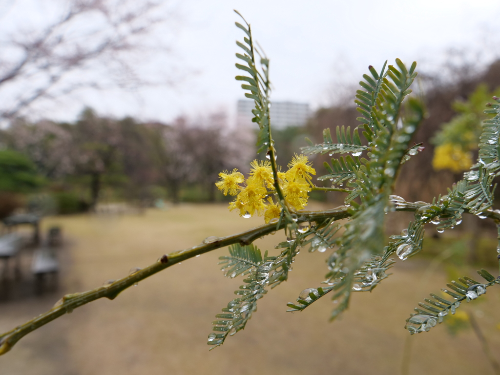 広島　その17