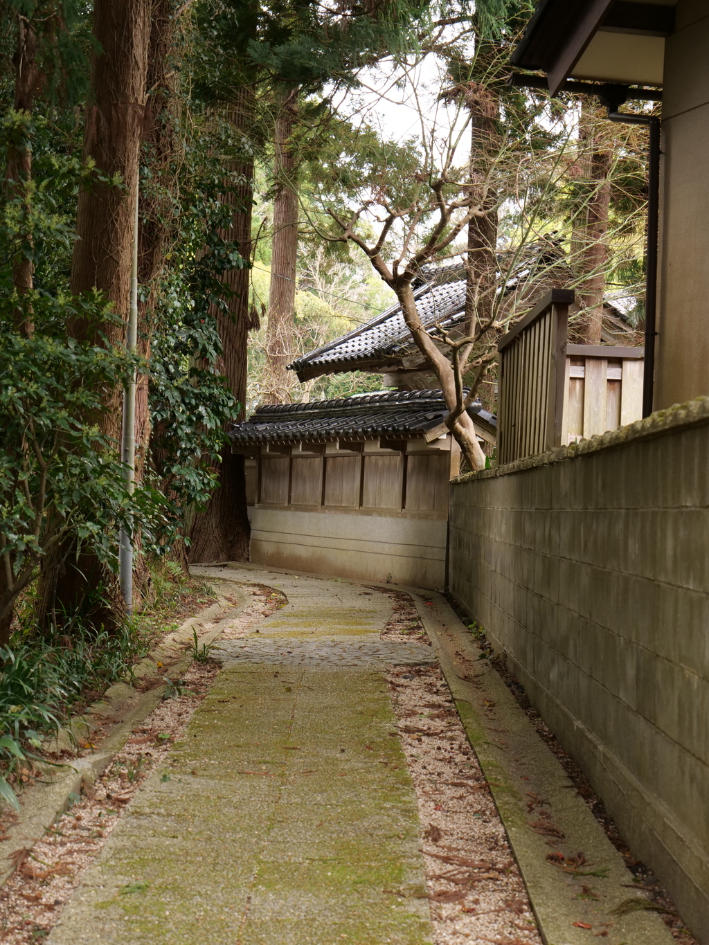 七尾・山の寺寺院群　その10