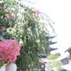 京都・産寧坂　その7