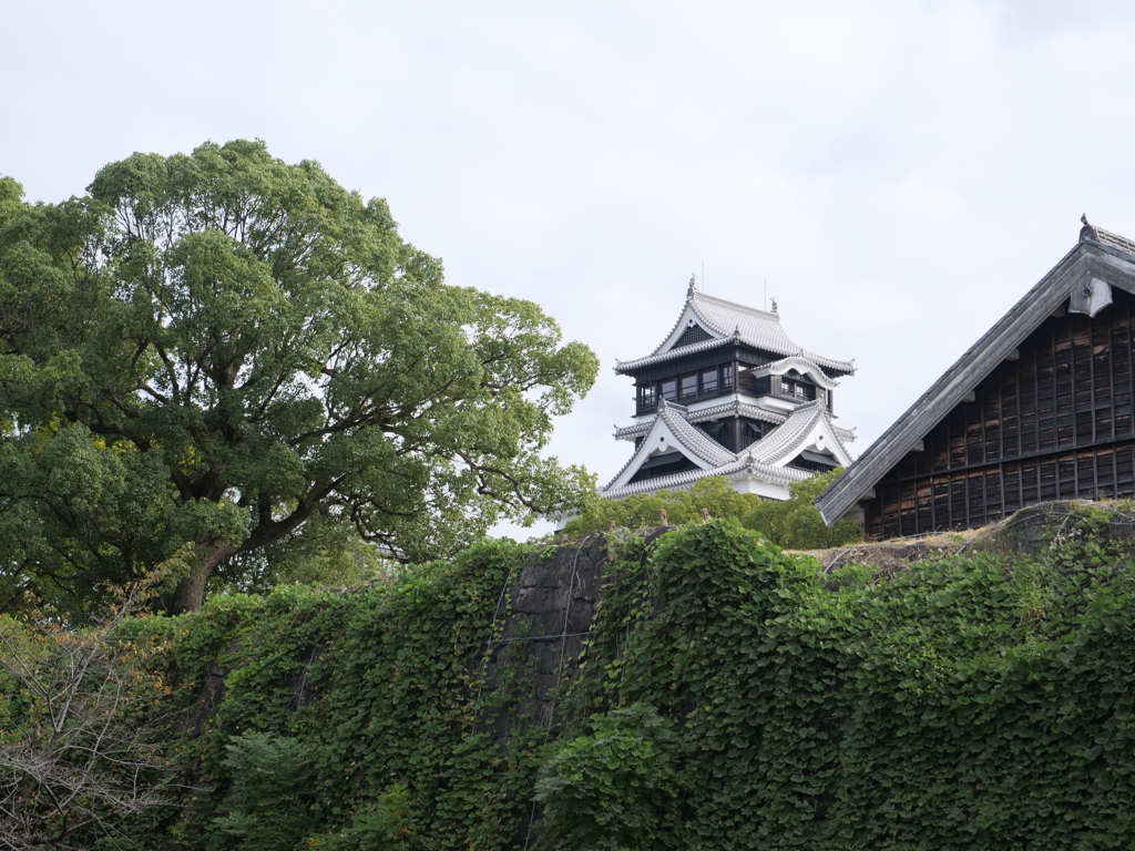 熊本城　その28