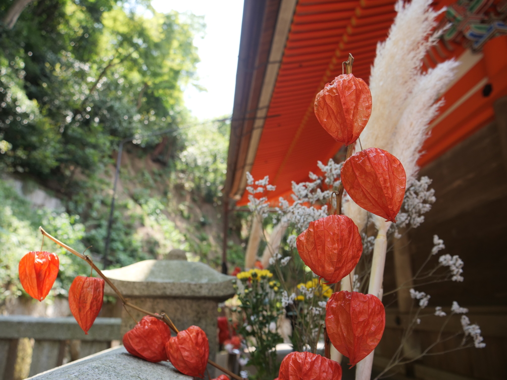 京都・清水寺　その14
