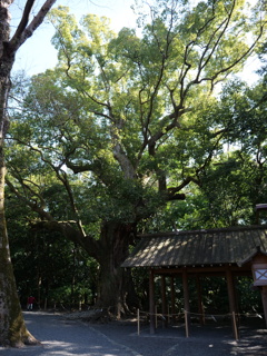 伊勢神宮・月夜見宮　その10