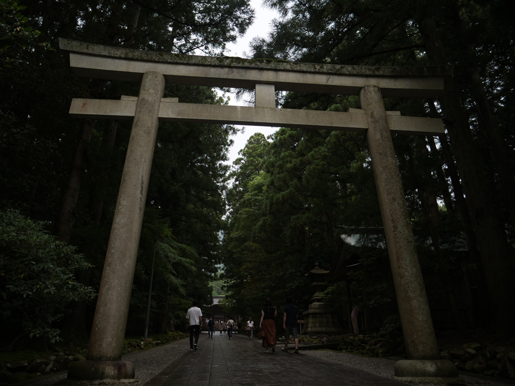 新潟・弥彦　その20