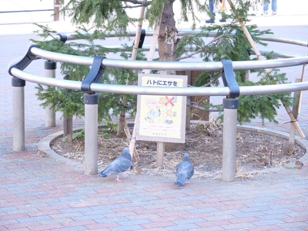 大塚駅前　その8