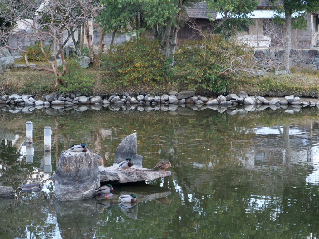 吉備津彦神社　その23