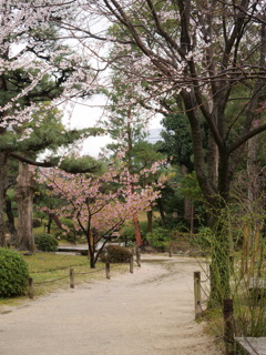 広島　その30