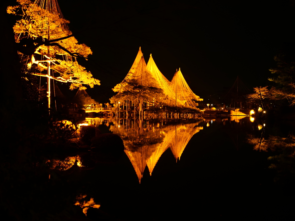 兼六園ライトアップ　その18