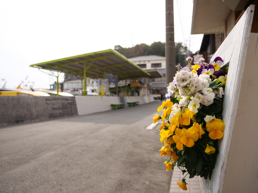 賢島　その13