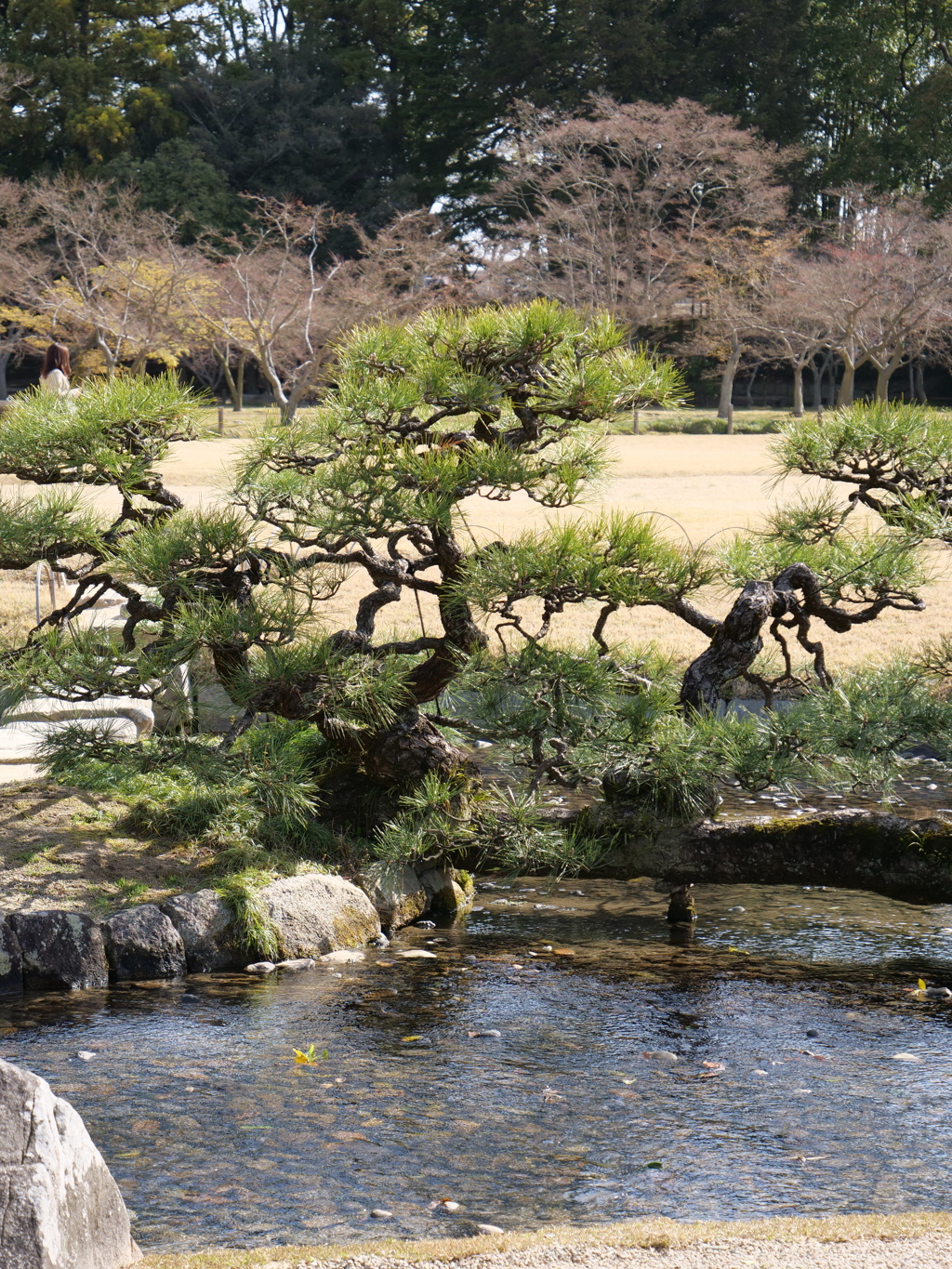 後楽園・岡山城　その16