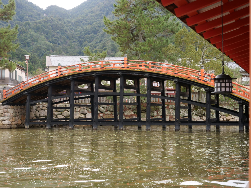 宮島　その32
