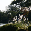 兼六園　その27