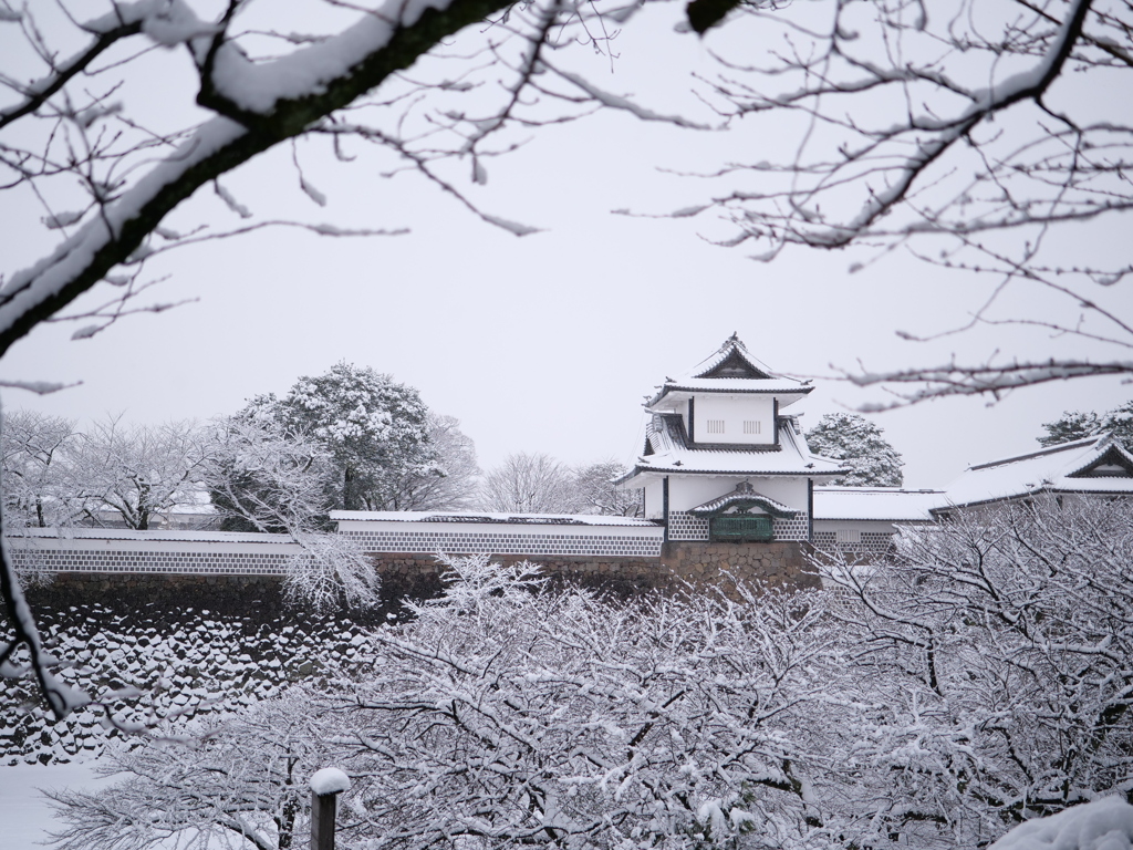 兼六園　その73