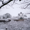 兼六園　その73