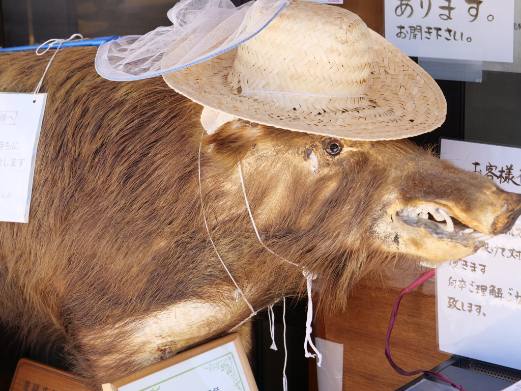 飛騨高山　その19