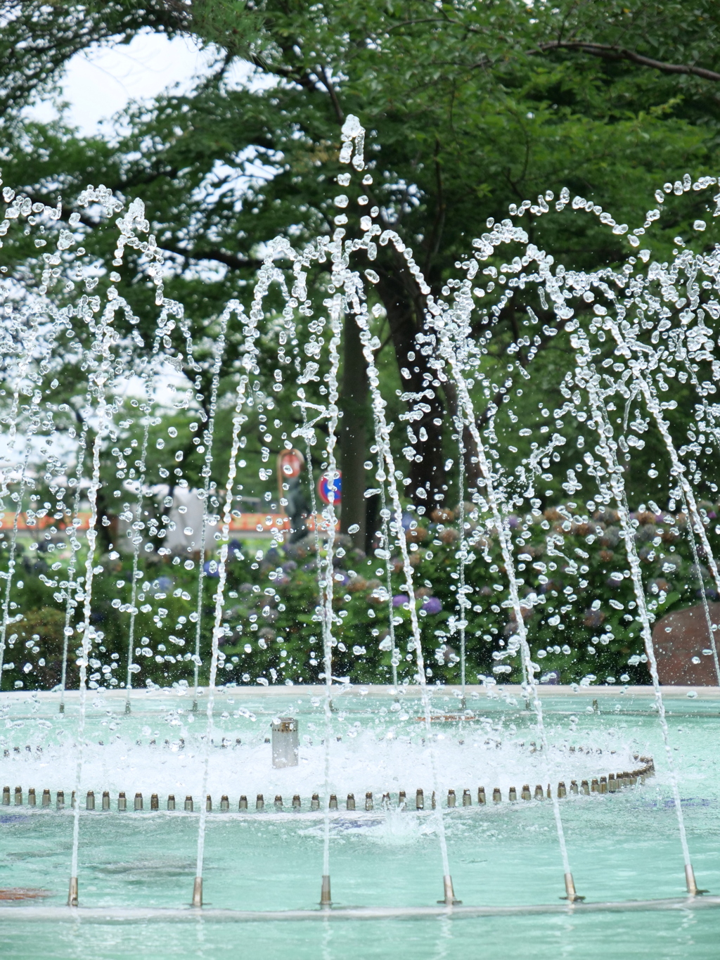 上越・高田　その6