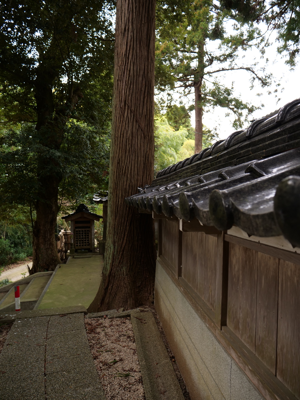 七尾・山の寺寺院群　その11