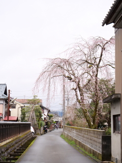 越前大野散策　その12