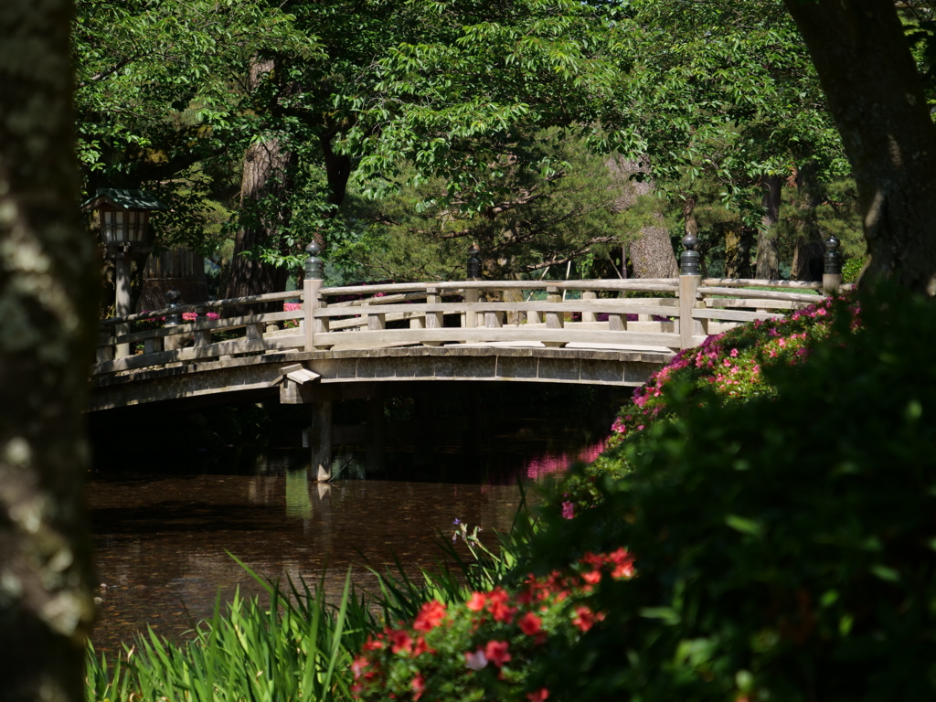 兼六園　その16