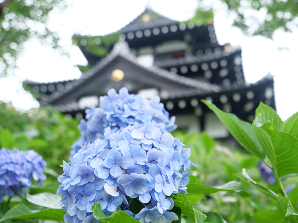 上越・高田　その8