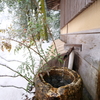 兼六園　その72