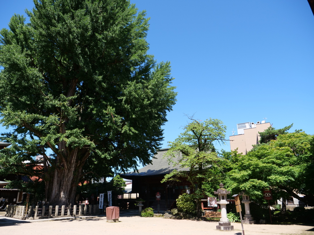 飛騨高山　その13