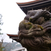天橋立　その5