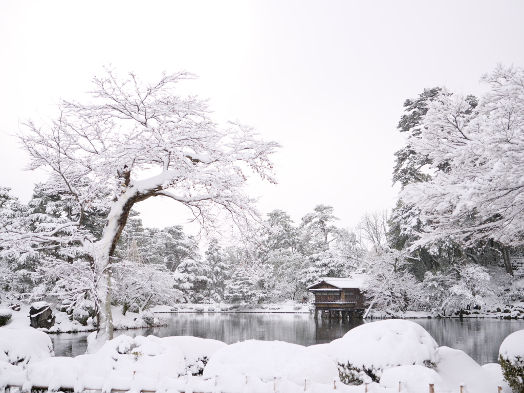 兼六園　その47