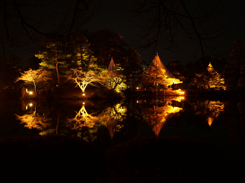兼六園ライトアップ　その19